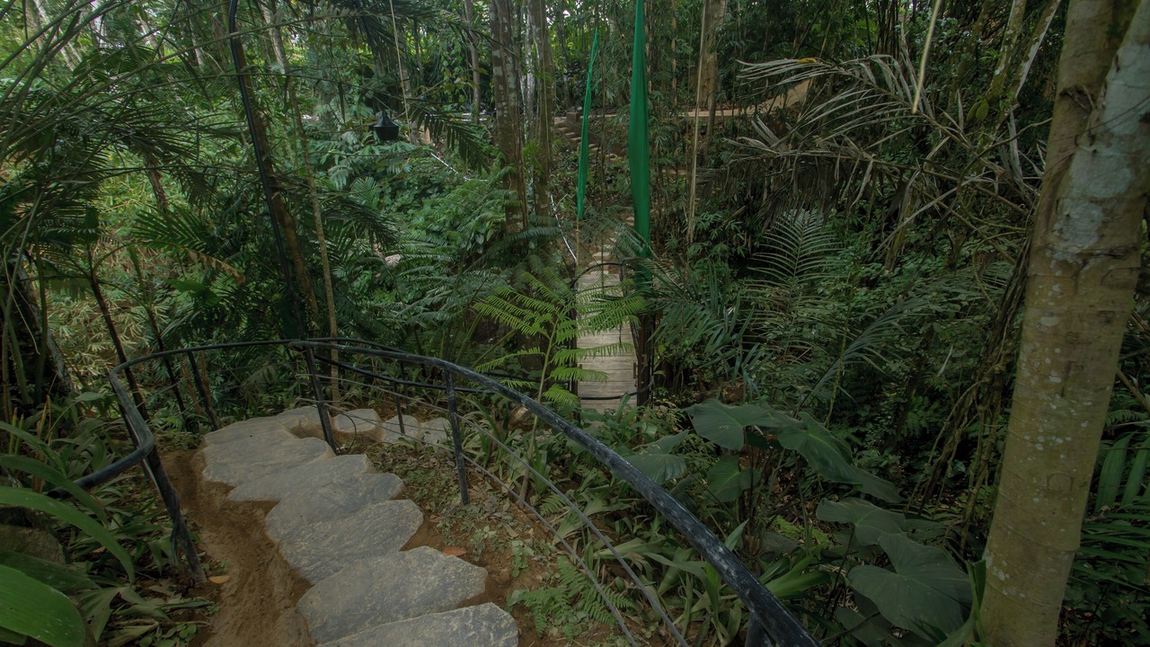 Photo of Outdoor in Payangan