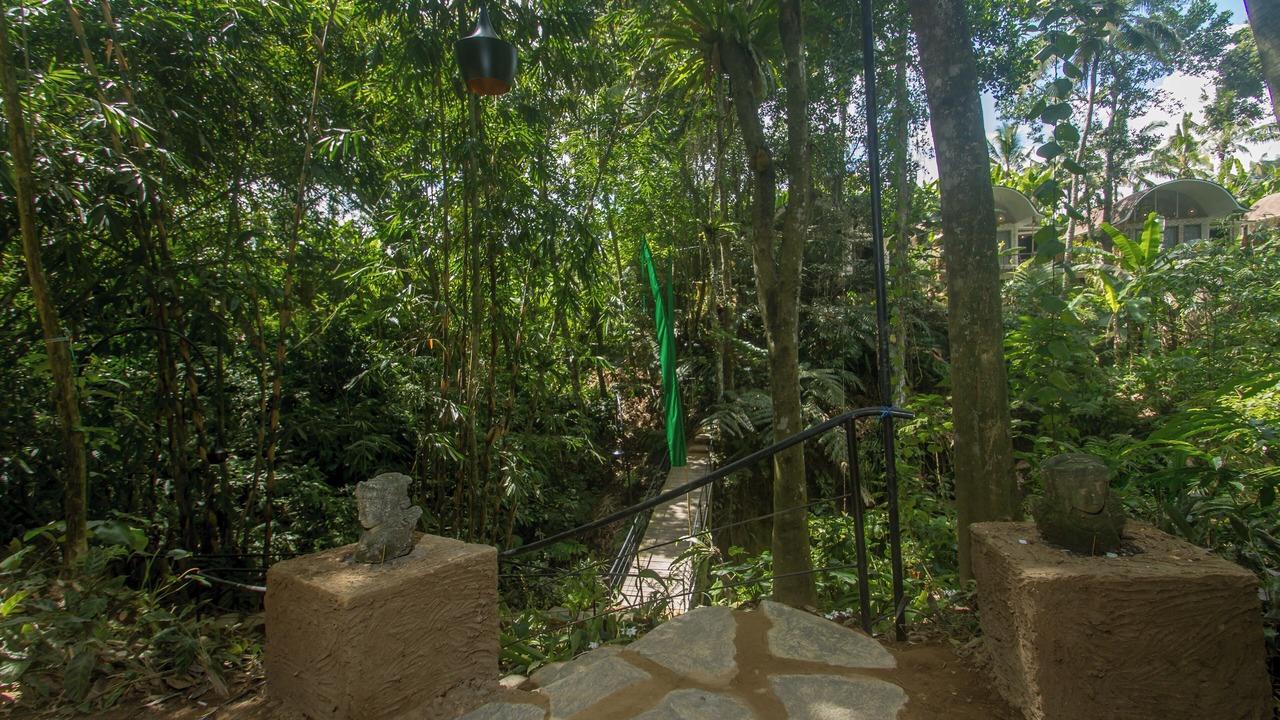 Photo of Outdoor in Payangan