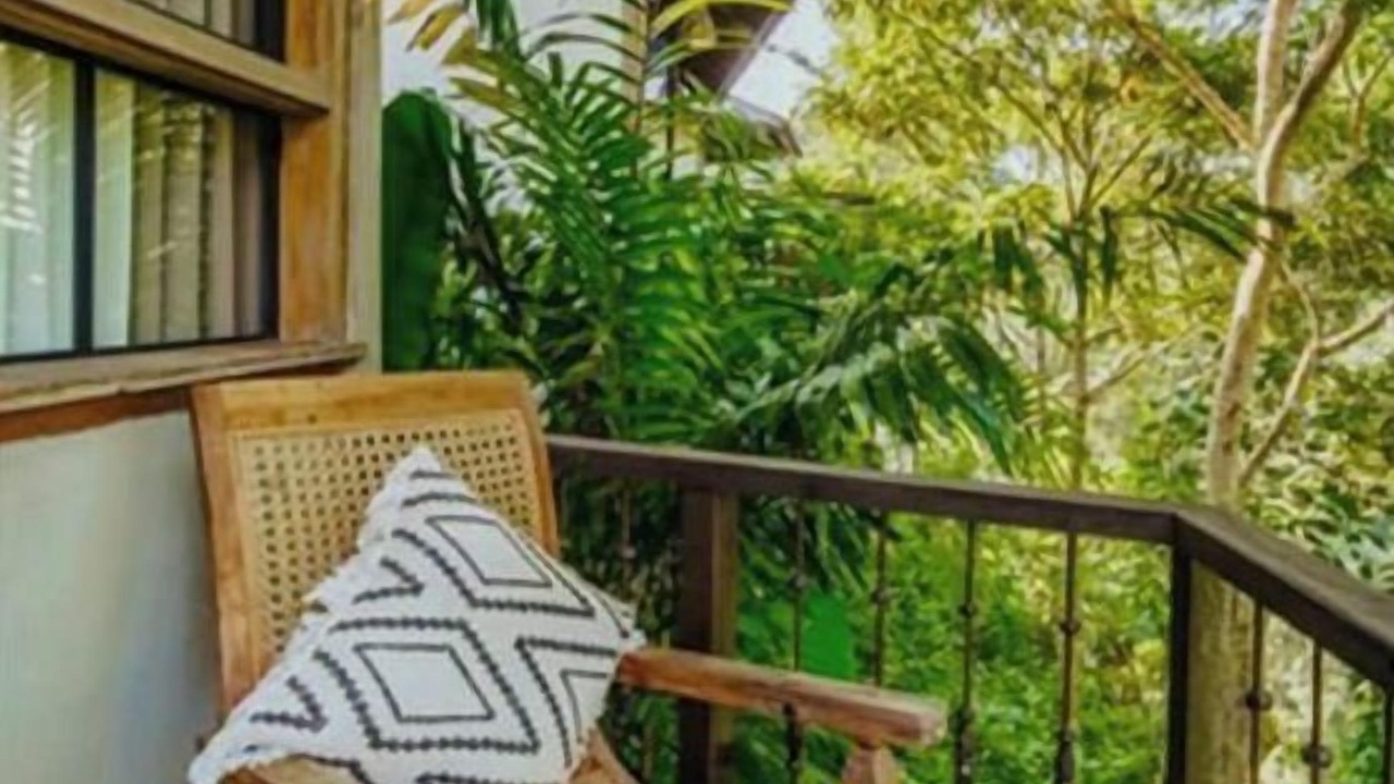 Photo of Outdoor in Saba