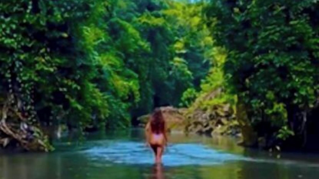 Photo of Outdoor in Saba
