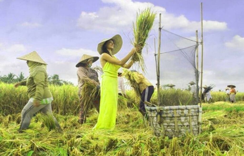 Photo of Outdoor in Ubud