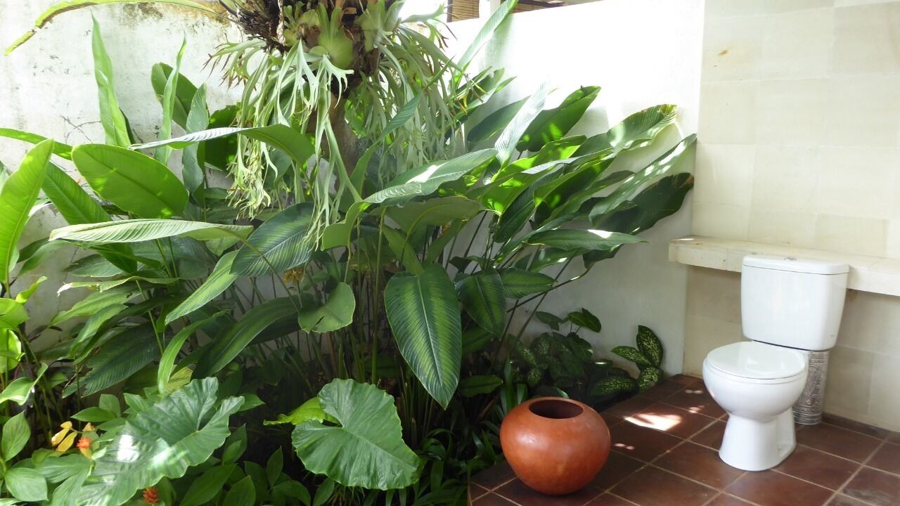 Photo of Outdoor in Kutuh Kaja