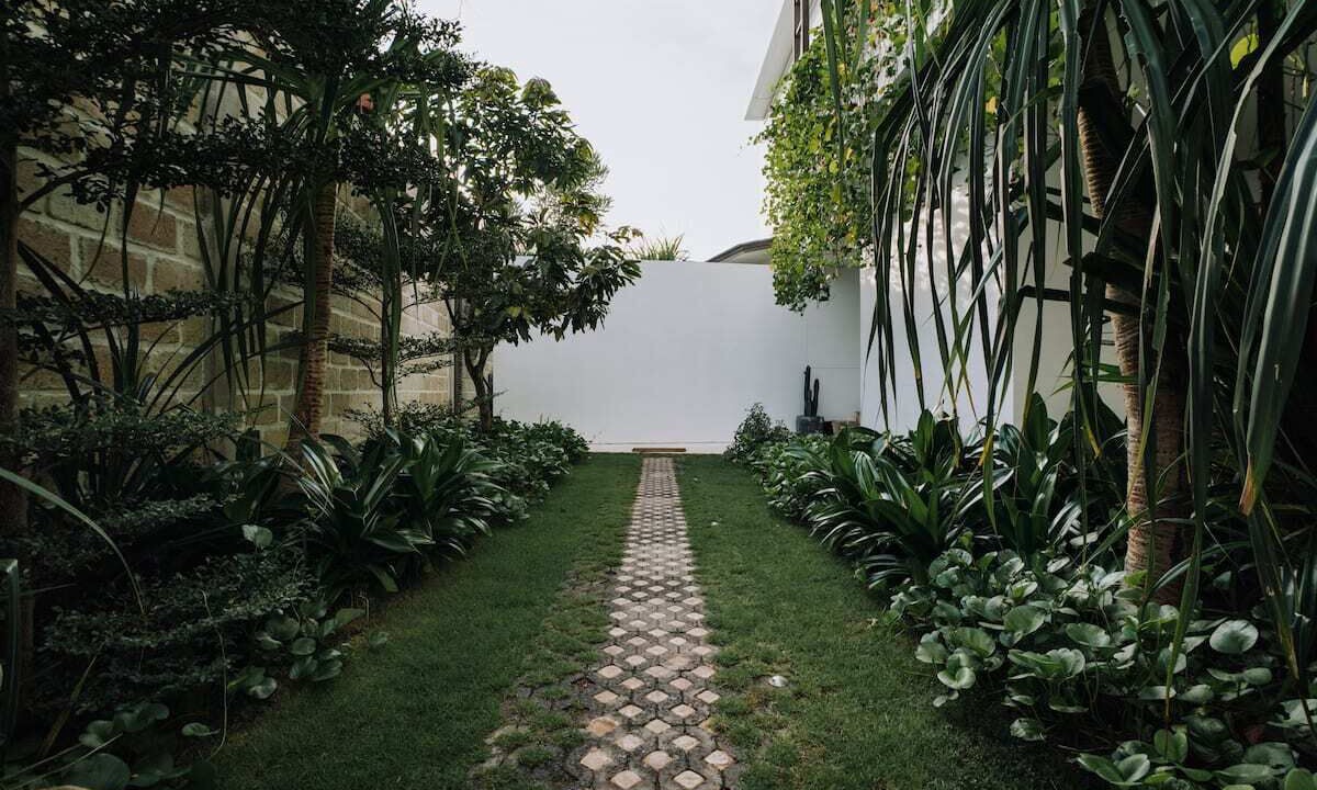 Photo of Outdoor in Mushroom Bay