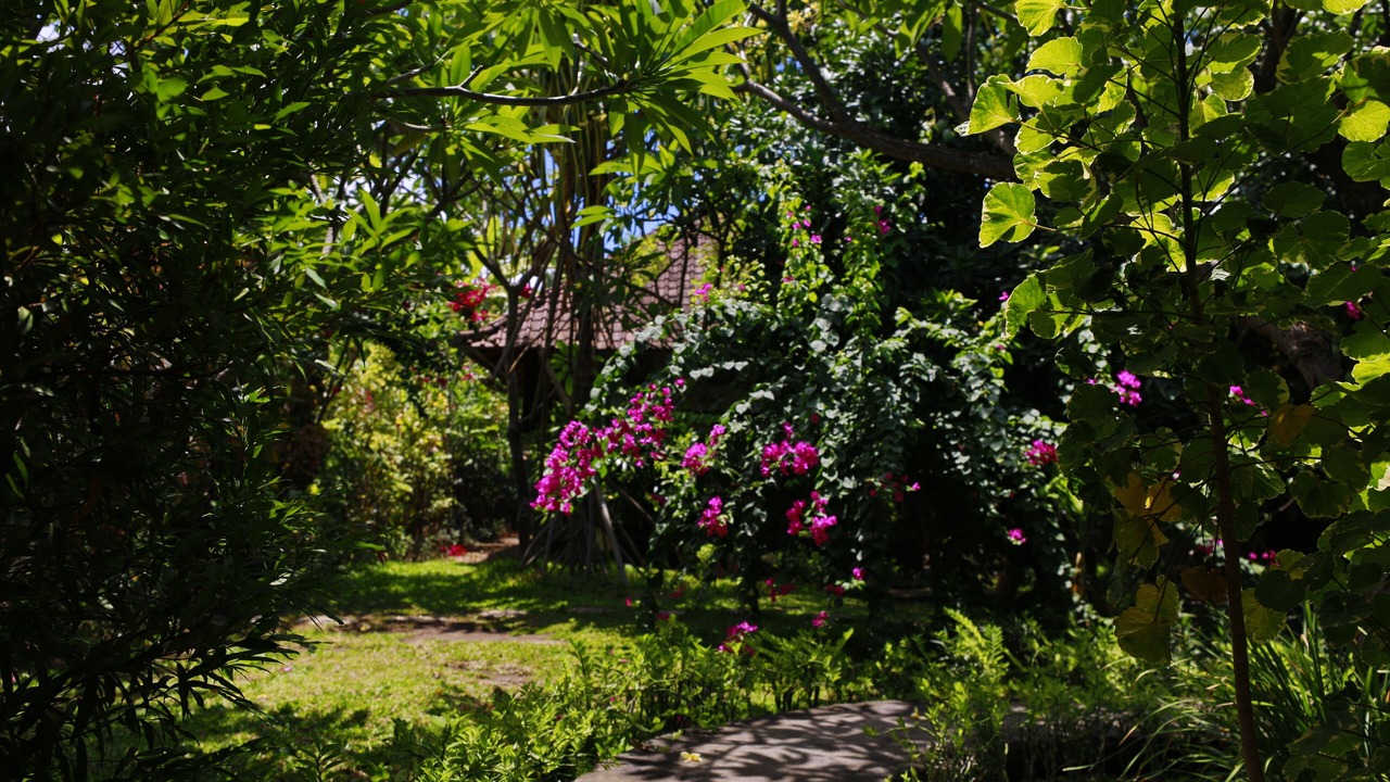 Photo of Outdoor in Purwakerti