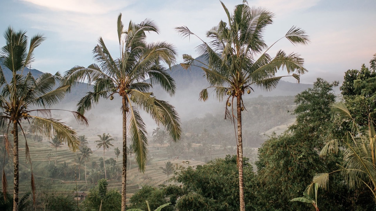 Photo of Outdoor in Mushroom Bay