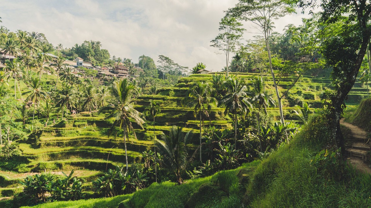 Photo of Outdoor in Kemenuh