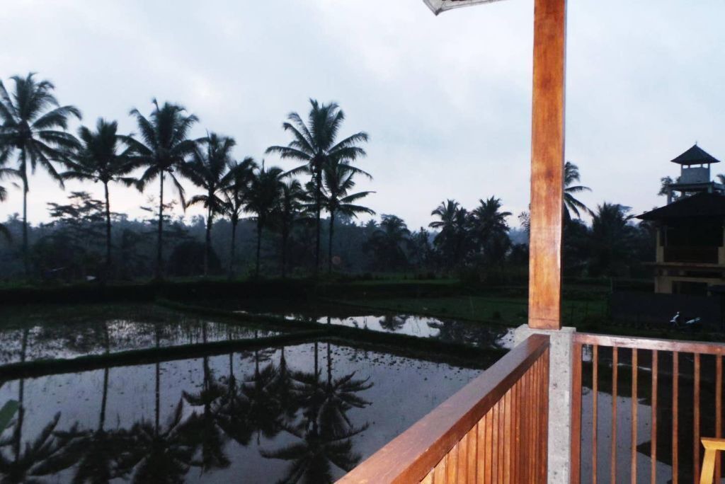 Photo of Outdoor in Tegallalang