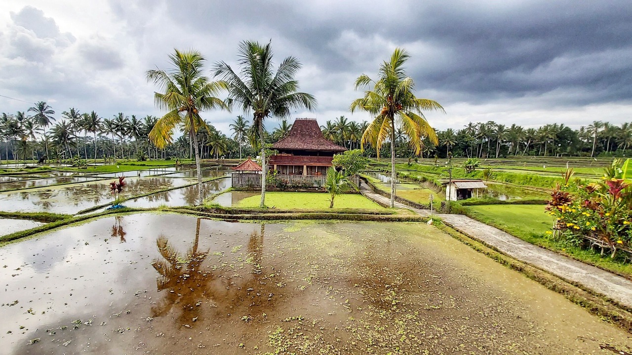 Photo of Others in Tegallalang