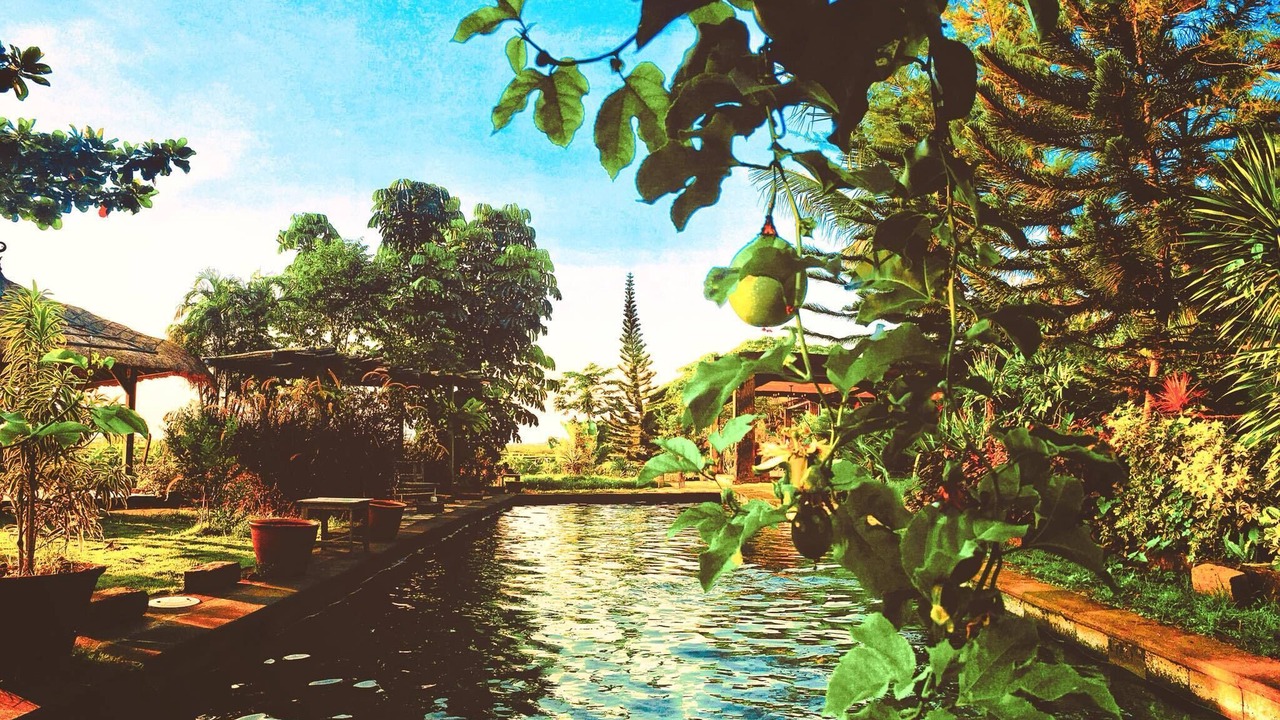 Photo of Outdoor in Singapadu Tengah