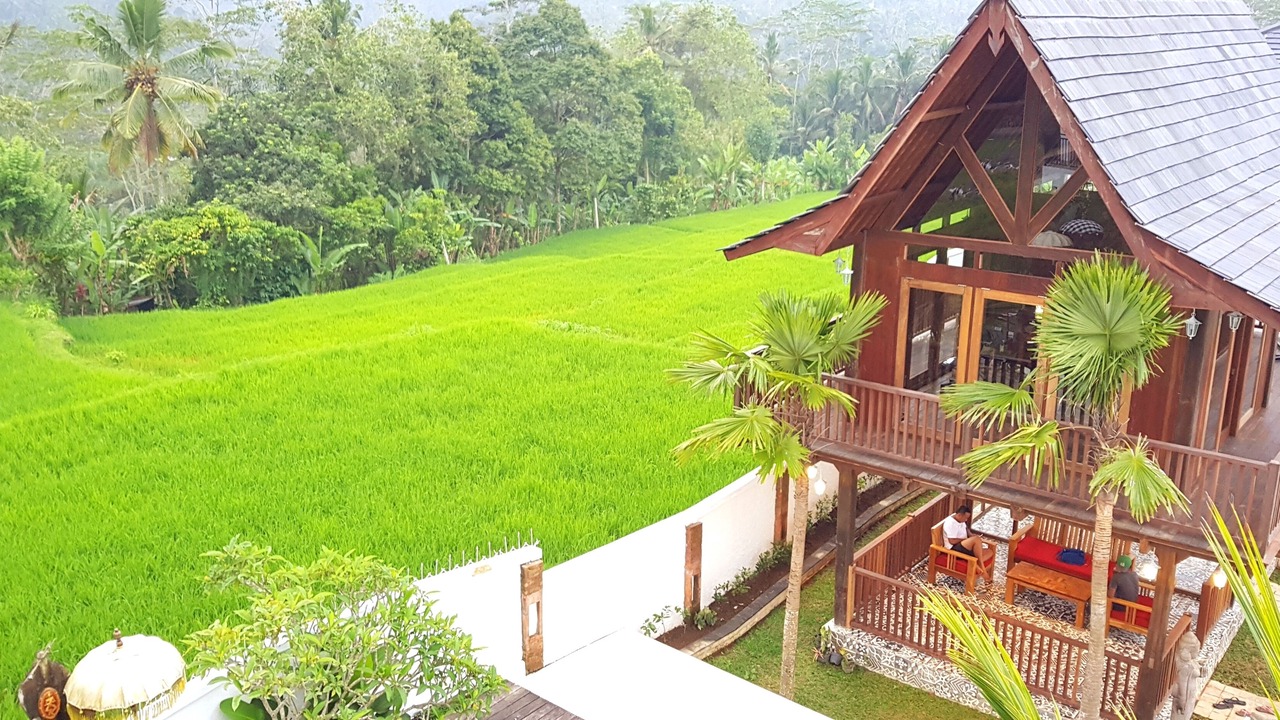 Photo of Outdoor in Payangan