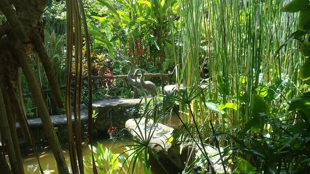 Photo of Outdoor in Tumbu Village