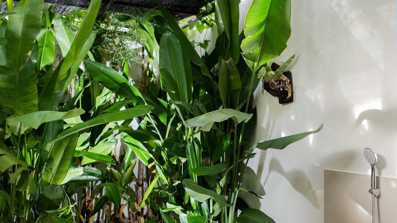 Photo of Bathroom in Ungasan
