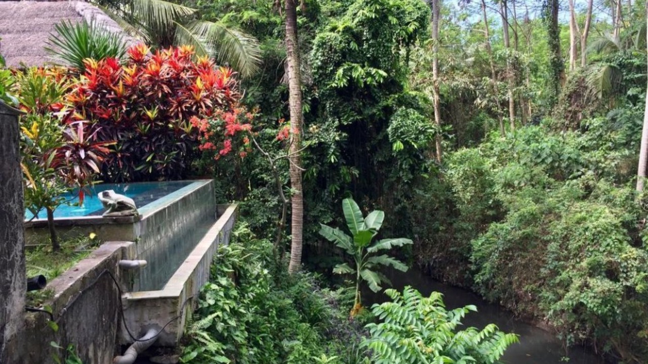 Photo of Outdoor in Sukawati