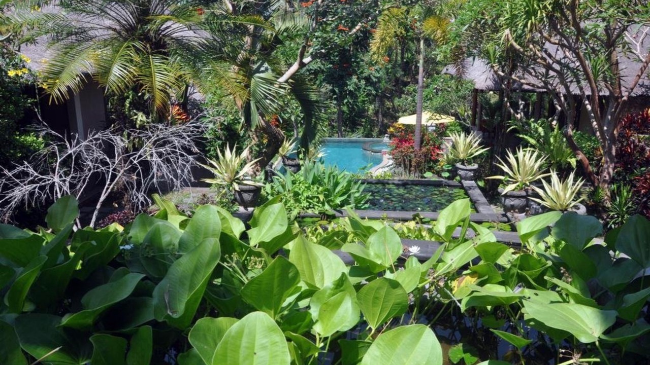 Photo of Outdoor in Sukawati