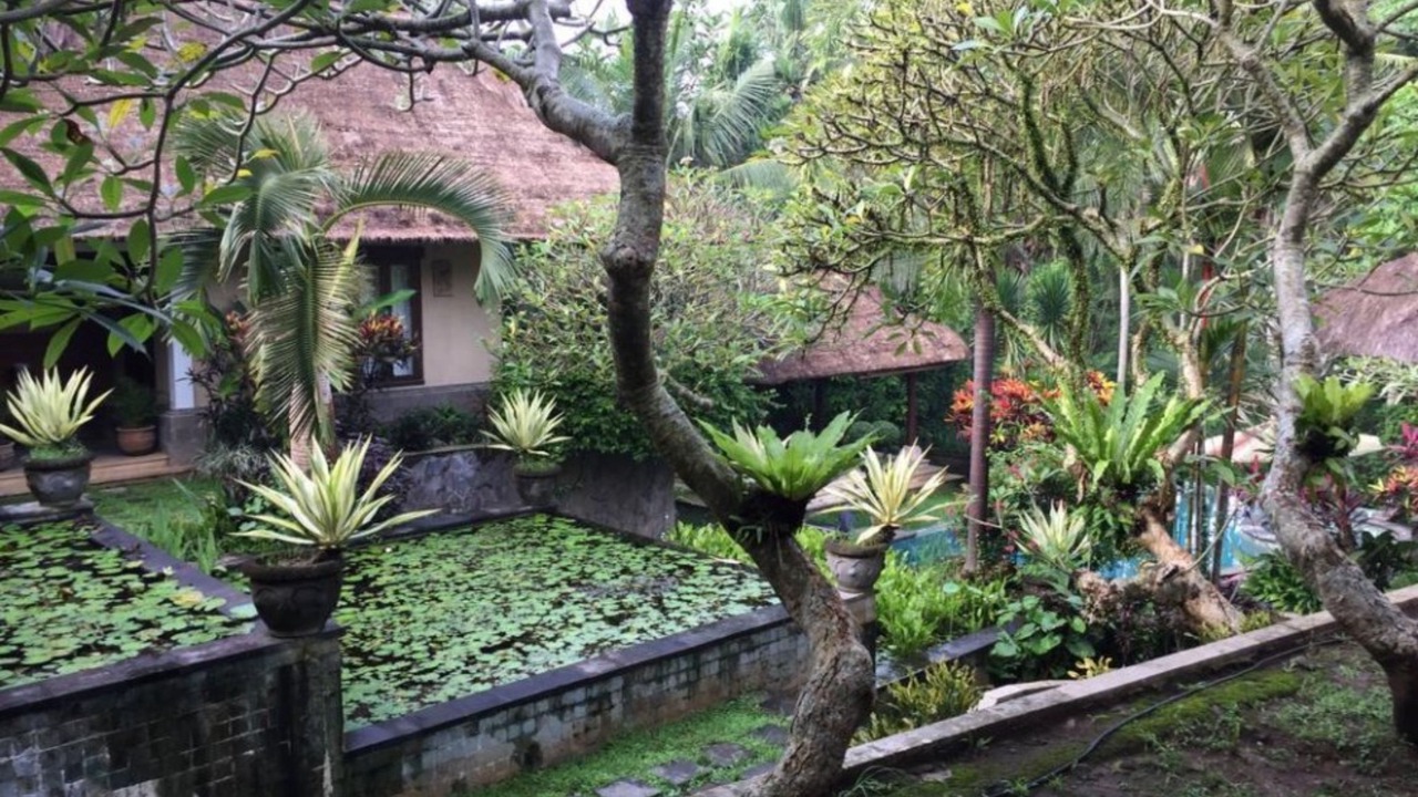 Photo of Outdoor in Celuk