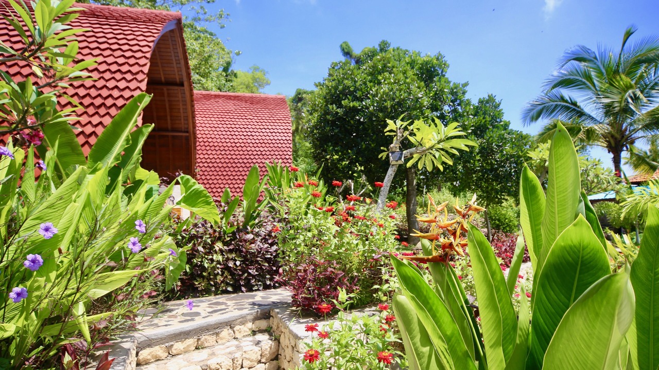 Photo of Outdoor in Penida Island