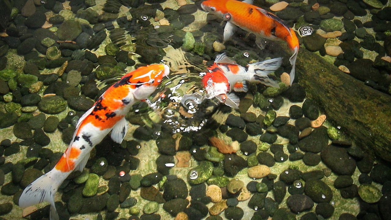 Photo of Others in Ungasan