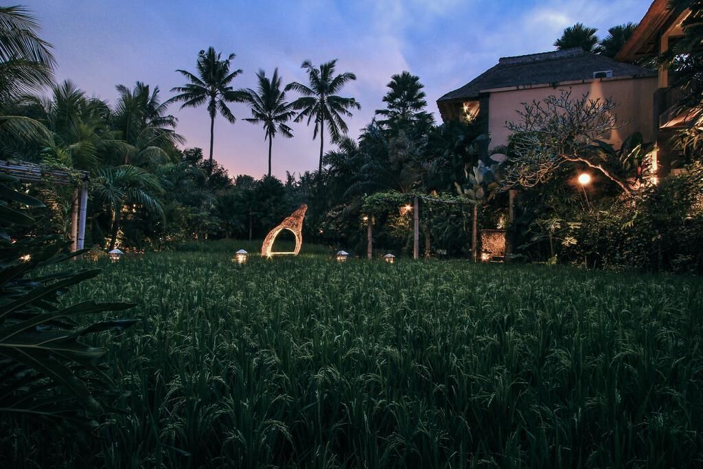 Photo of Outdoor in Pengosekan