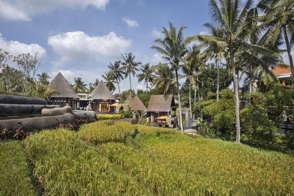 Photo of Outdoor in Pengosekan