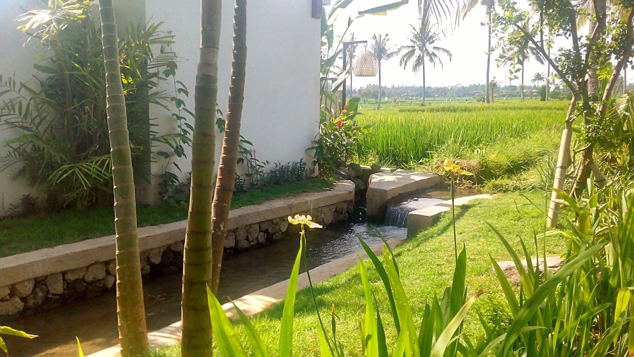 Photo of Outdoor in Kemenuh