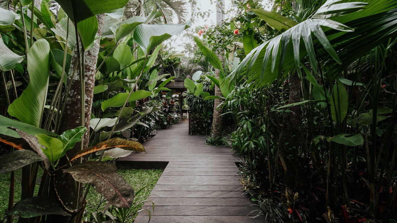 Photo of Outdoor in Pejeng Kawan