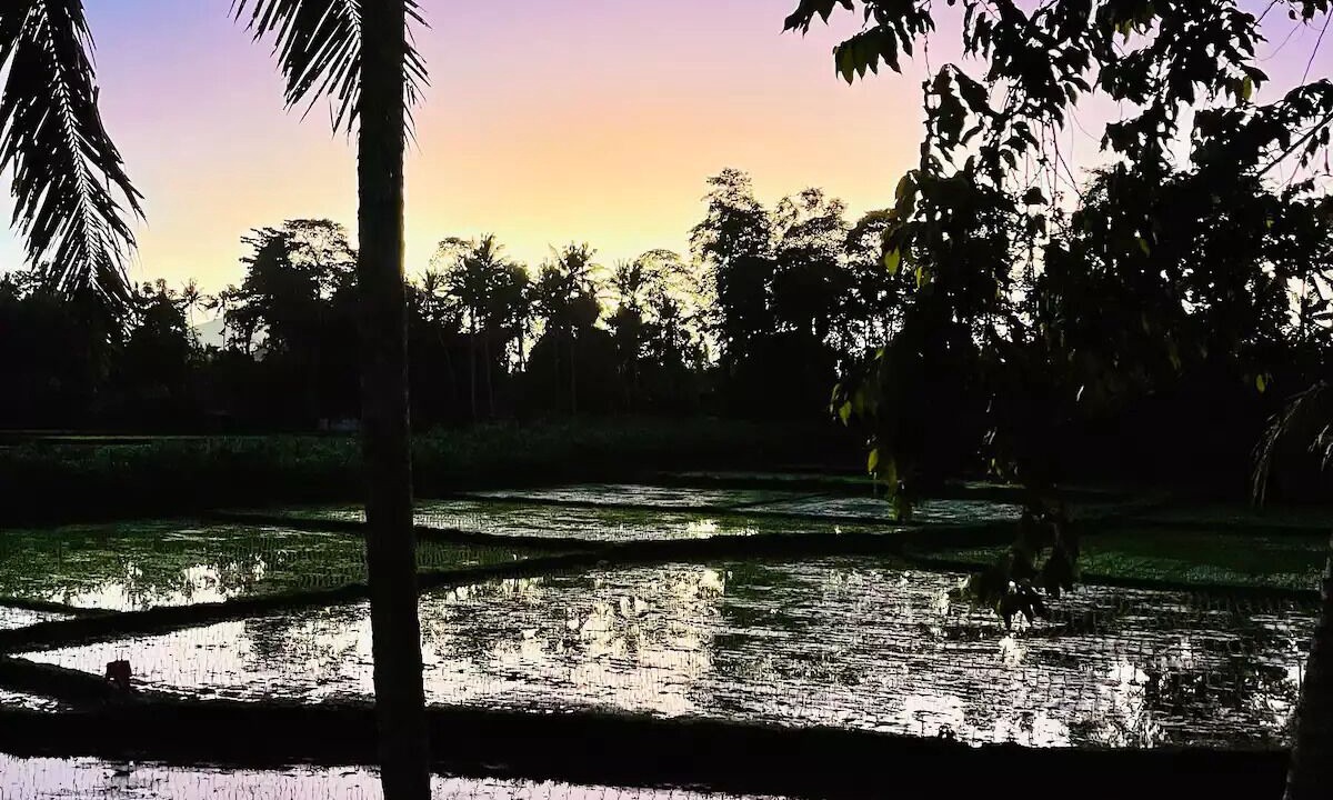 Photo of Outdoor in Lodtunduh