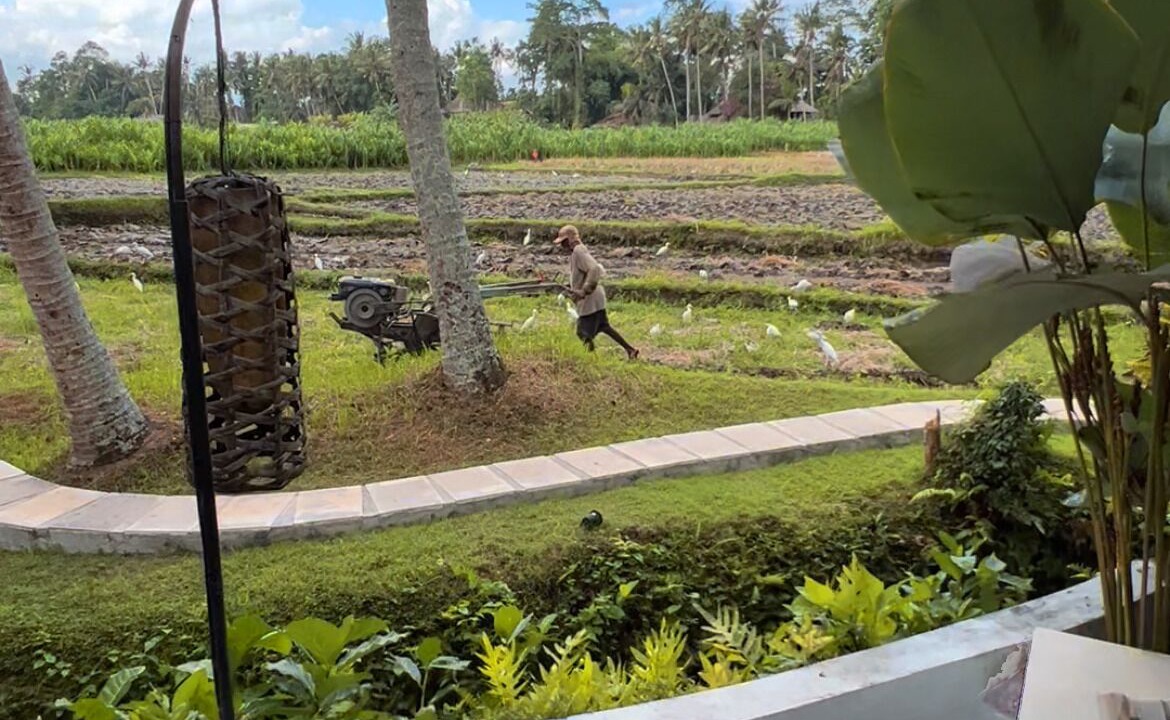 Photo of Outdoor in Lodtunduh