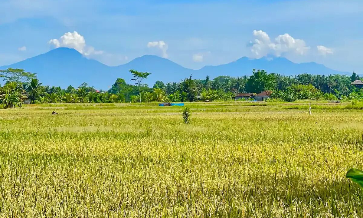 Photo of Others in Lodtunduh