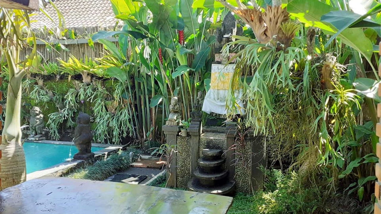 Photo of Outdoor in Sebatu