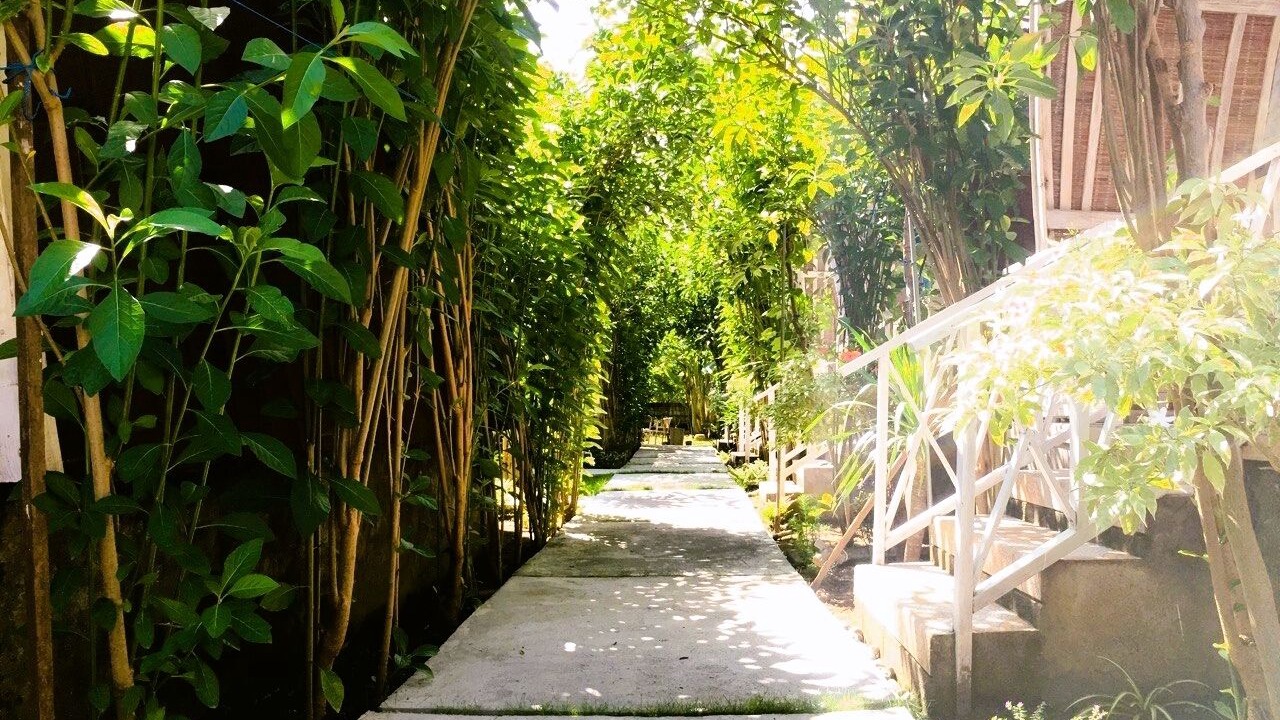 Photo of Outdoor in Penida Island