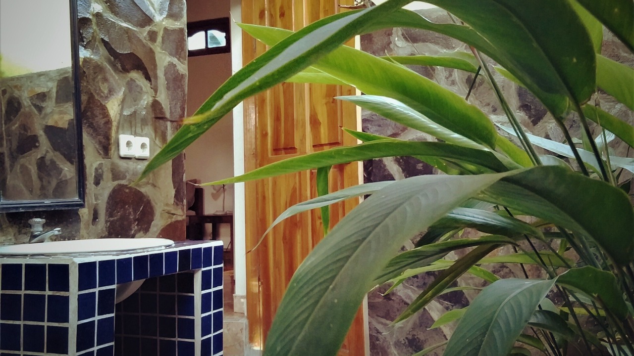 Photo of Outdoor in Tukad Mungga