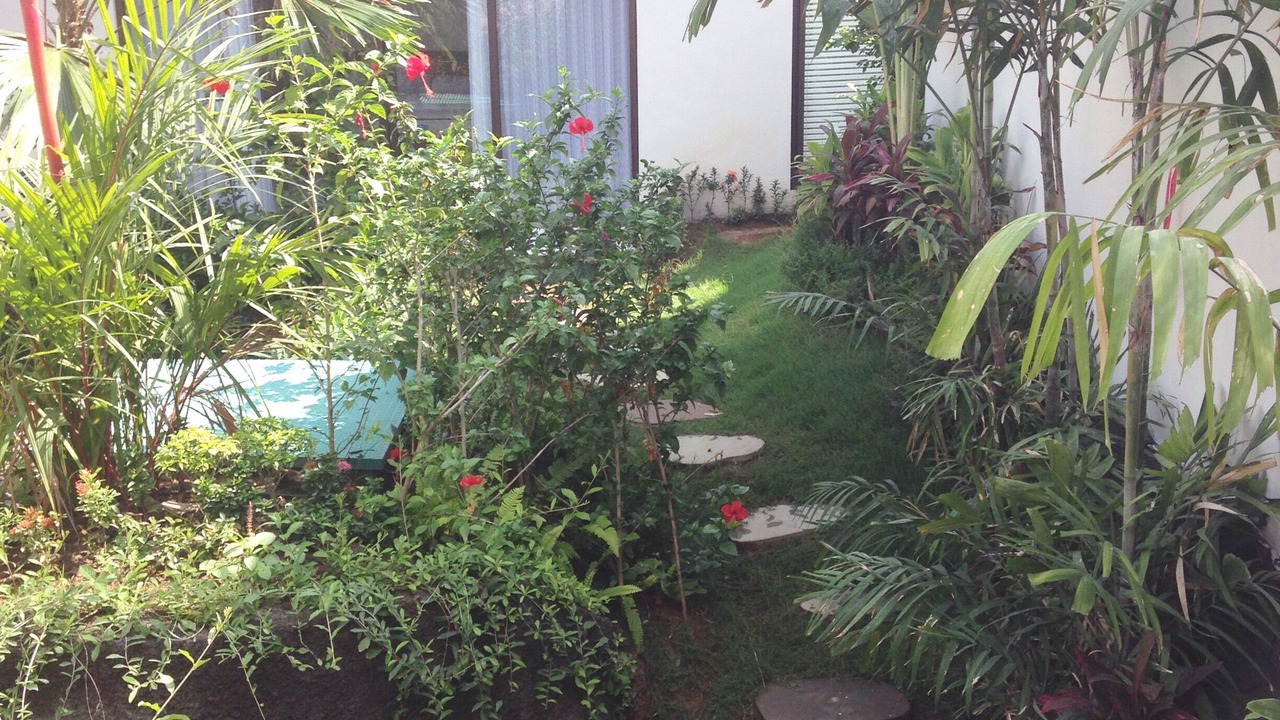 Photo of Outdoor in Padonan