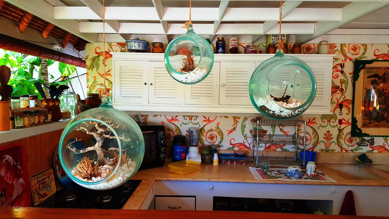 Photo of Kitchen in Umalas
