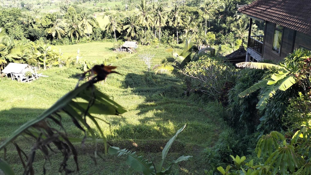 Photo of Outdoor in Sidemen