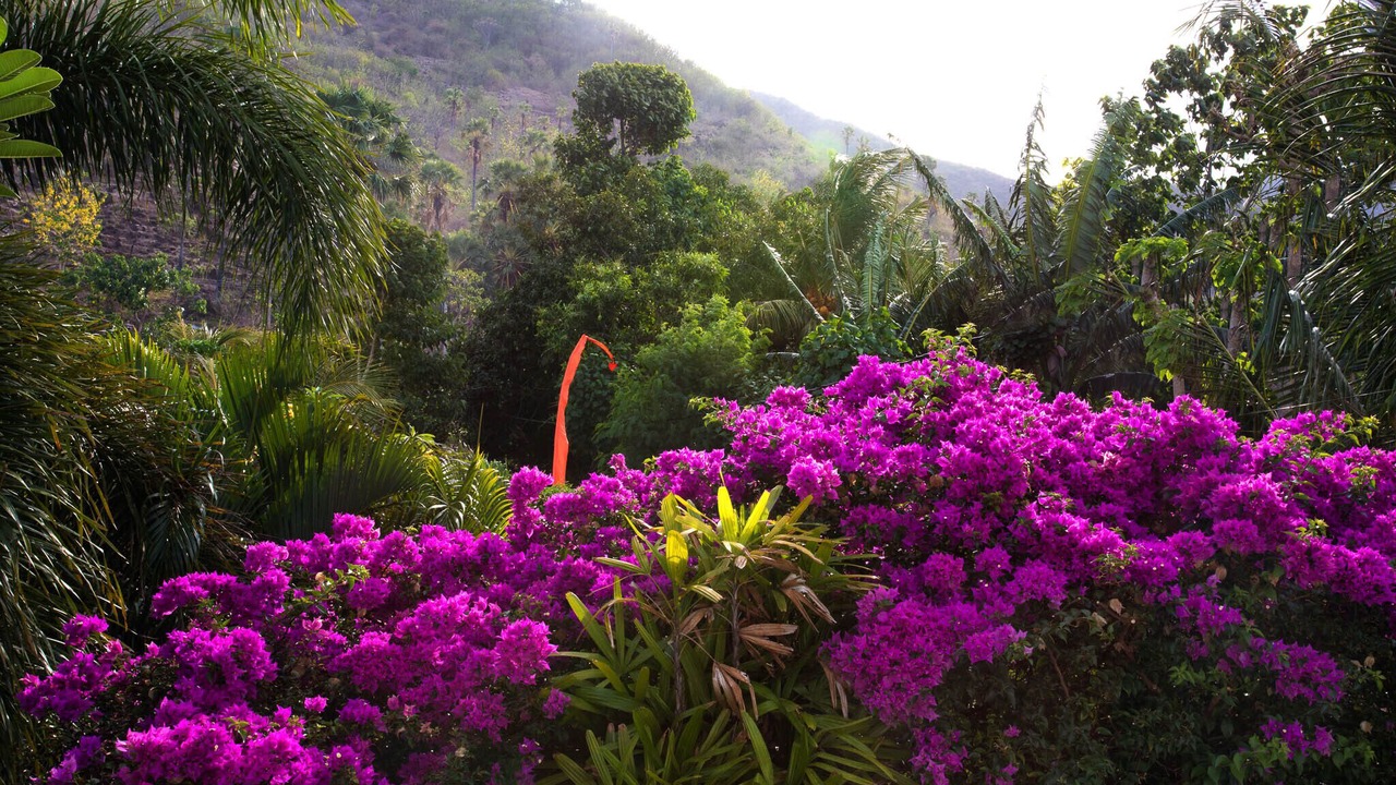 Photo of Outdoor in Bunutan