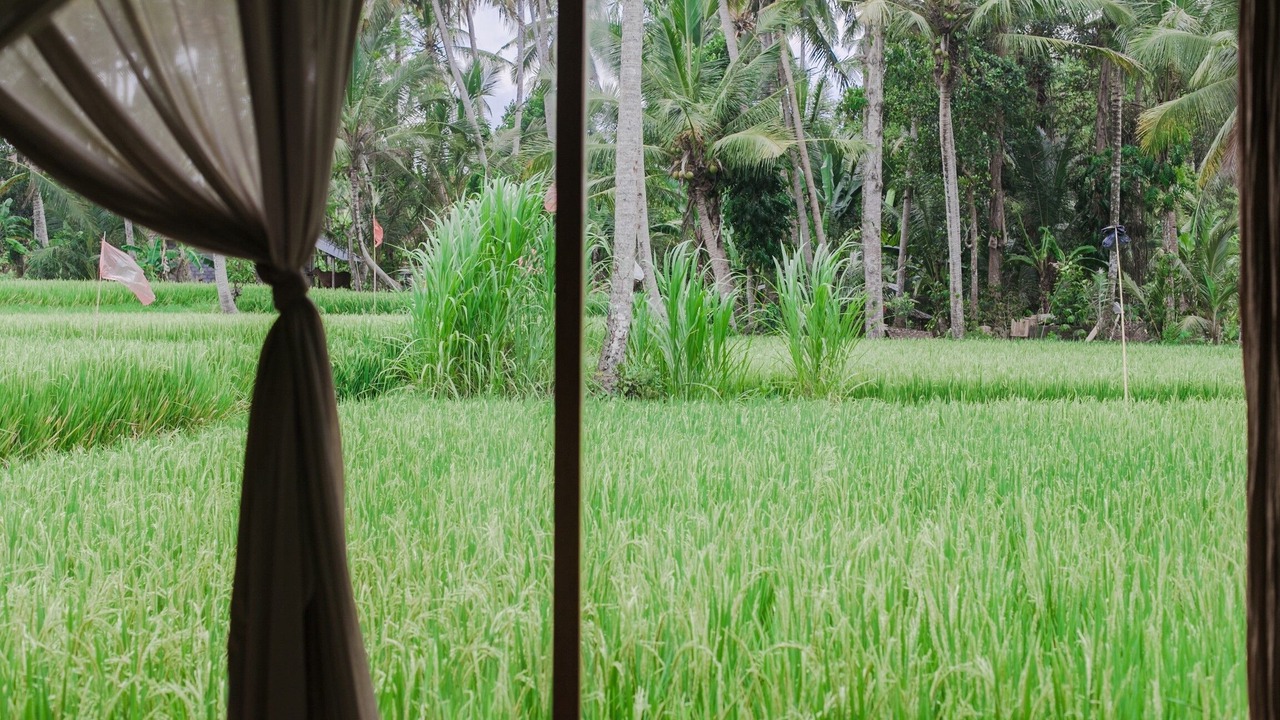 Photo of Others in Pejeng Kawan
