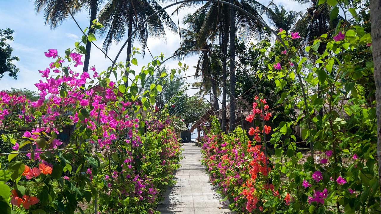 Photo of Outdoor in Gili Air