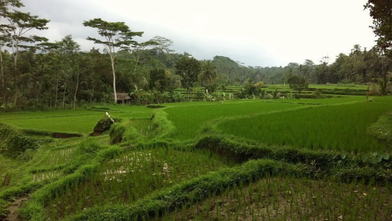 Photo of Others in Sambahan