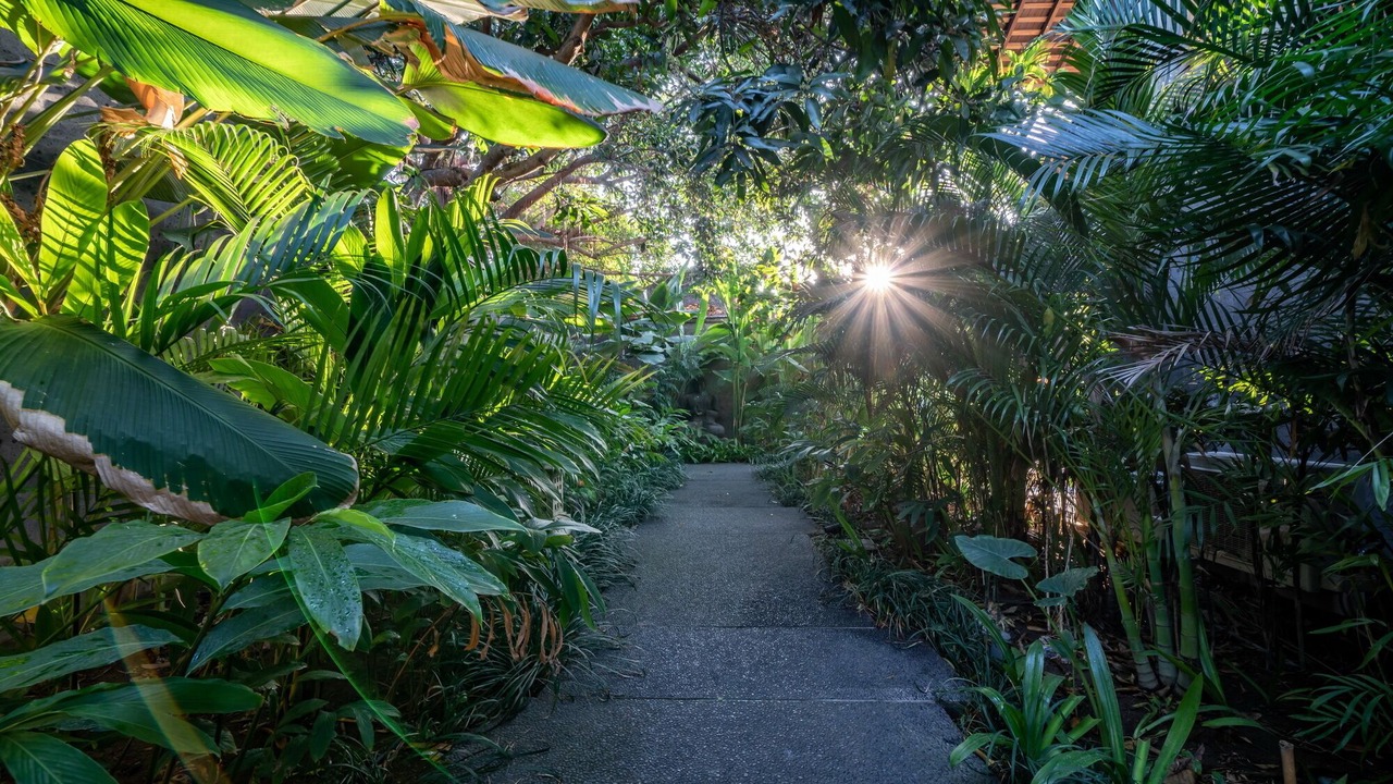 Photo of Outdoor in Umalas