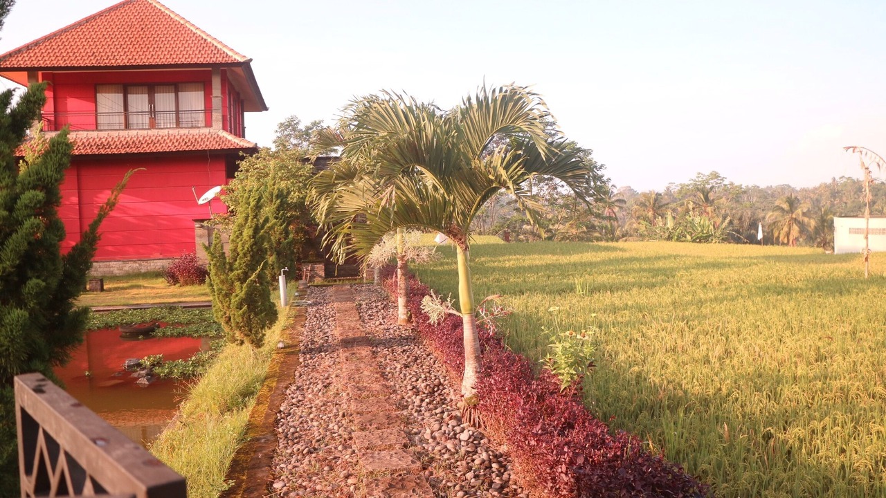 Photo of Outdoor in Tegallalang