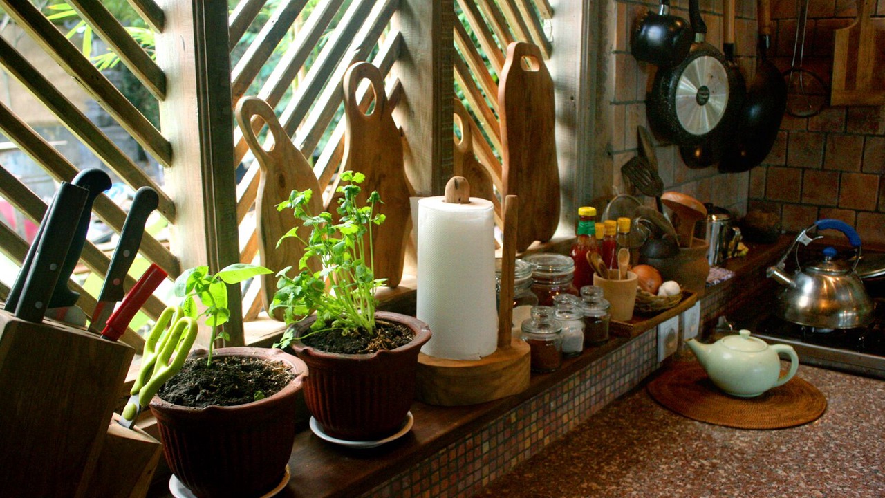 Photo of Kitchen in Petulu