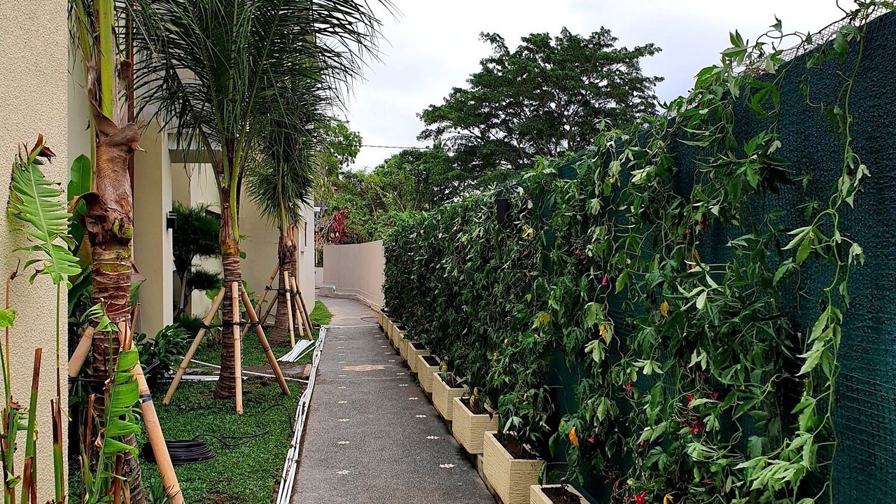 Photo of Outdoor in Kemenuh