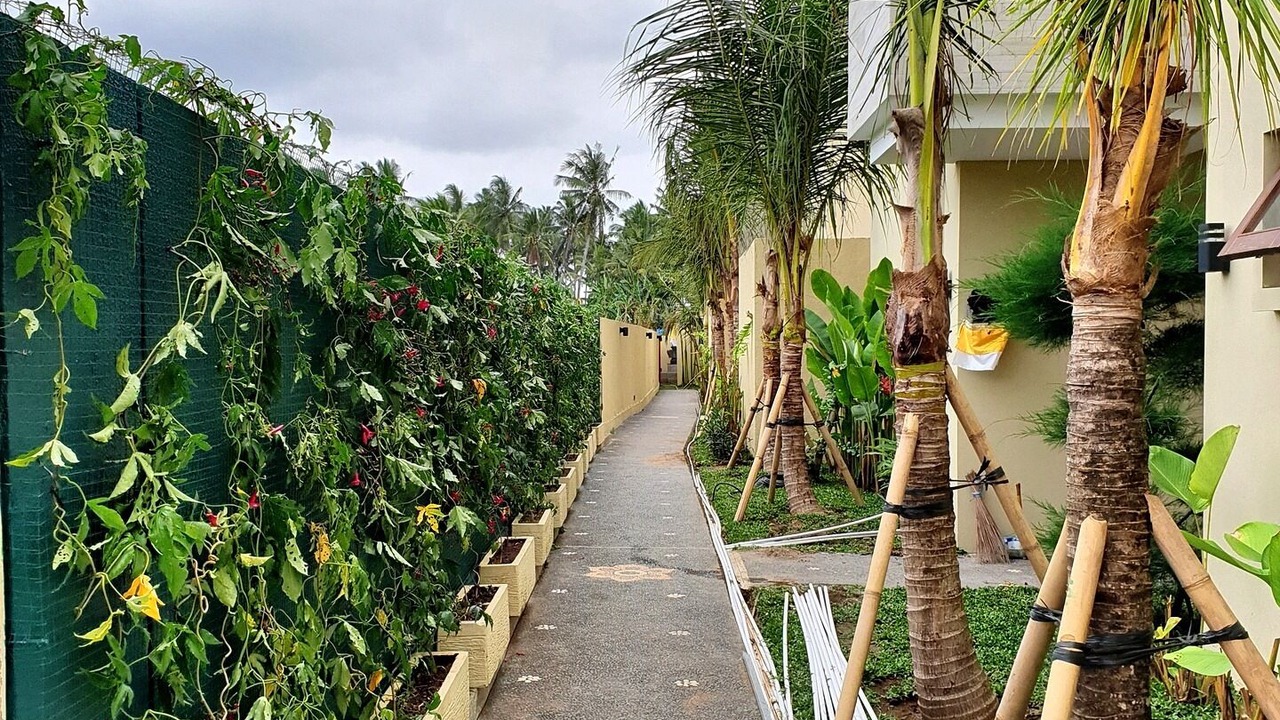 Photo of Outdoor in Kemenuh