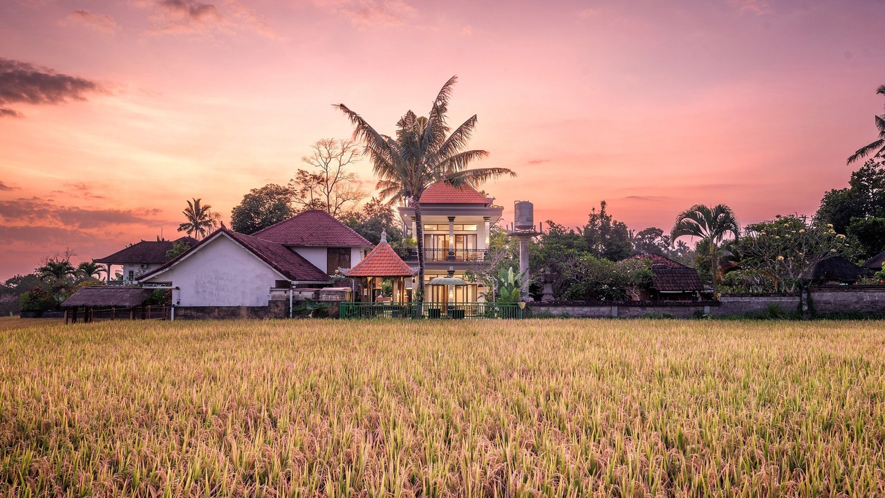 Photo of Outdoor in Pejeng Kawan