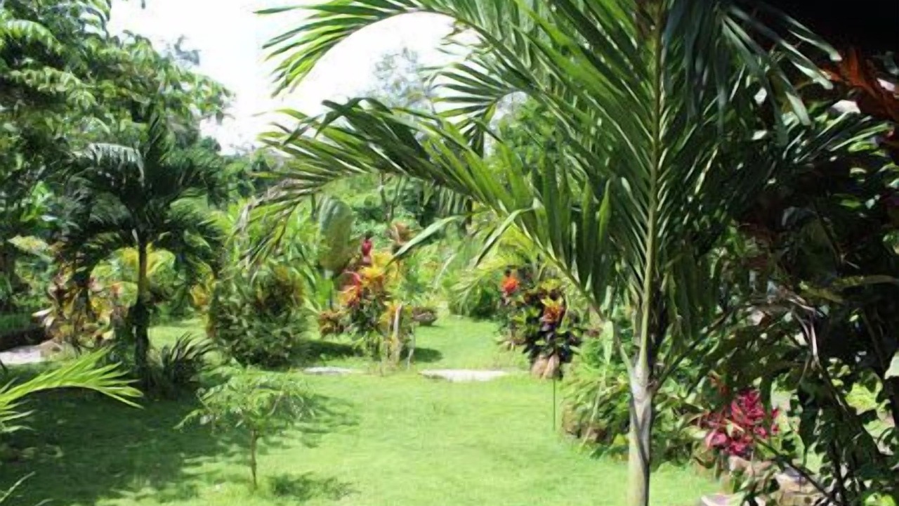 Photo of Outdoor in Lodtunduh