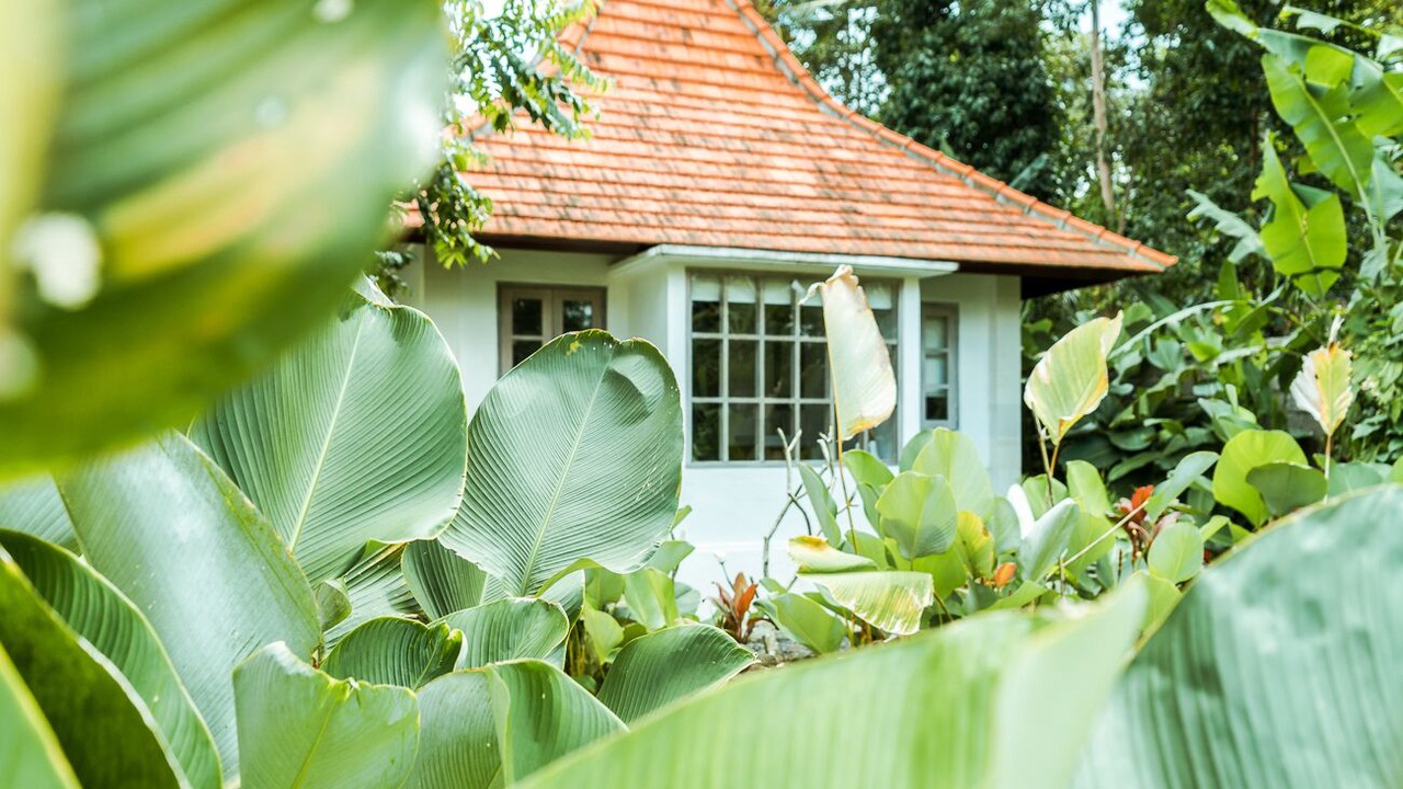 Photo of Outdoor in Kedewatan