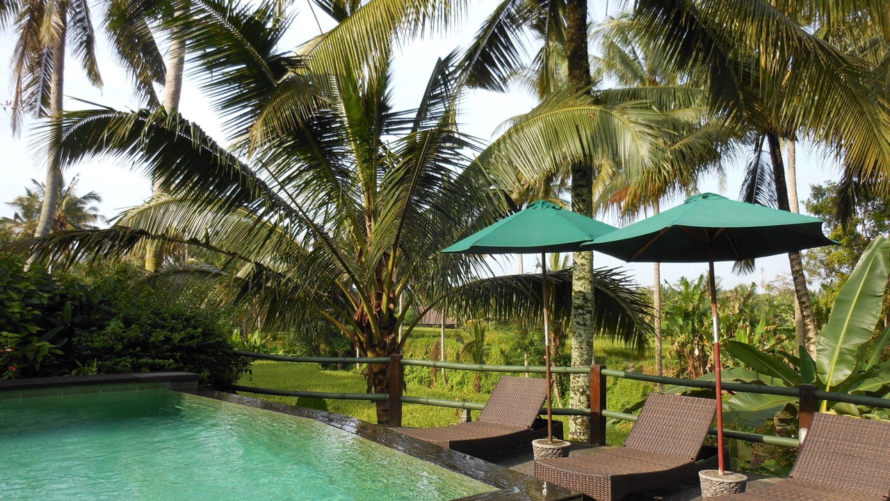 Photo of Outdoor in Kedewatan