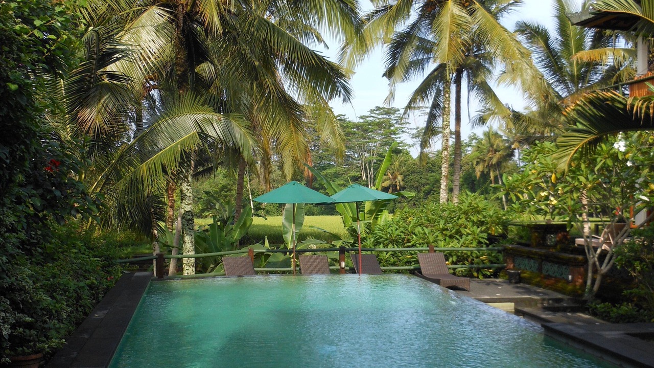 Photo of Outdoor in Kedewatan