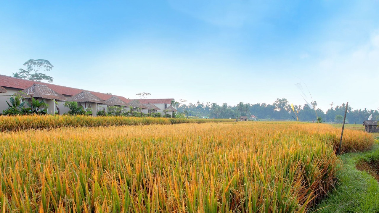 Photo of Outdoor in Melayang