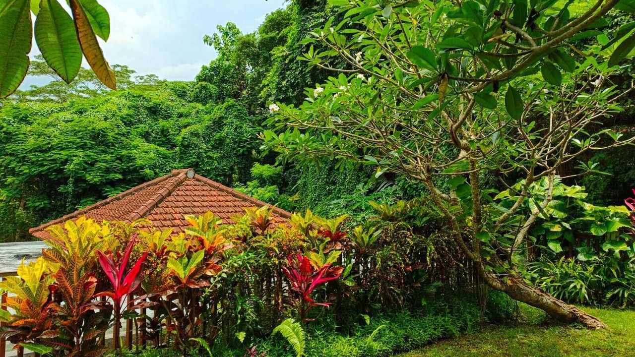Photo of Outdoor in Melayang